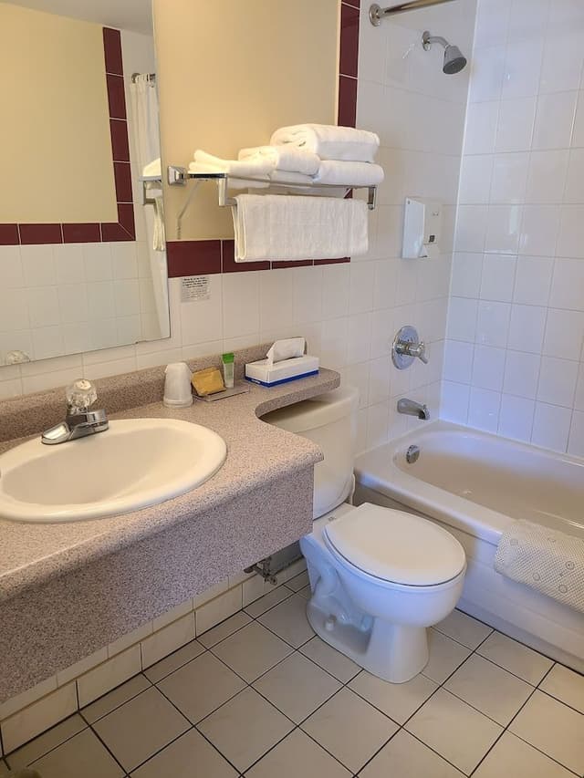 Room, 1 Queen Bed, Refrigerator & Microwave, Lake View