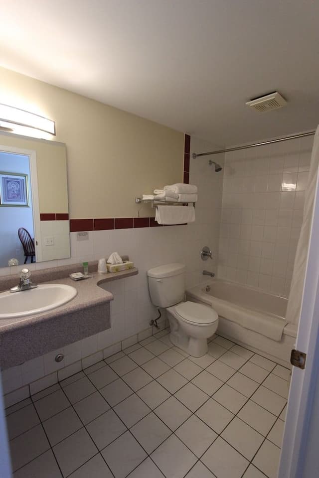 Room, 1 King Bed, Refrigerator & Microwave, Lake View