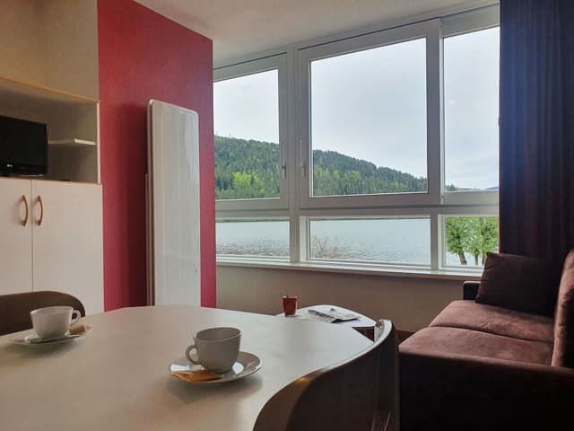 Standard Studio, Lake View (3 persons)