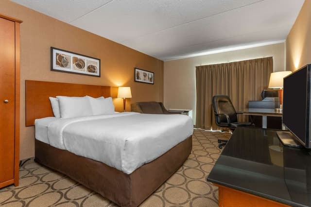 Comfort Care, Standard Room, 1 Queen Bed with Sofa bed, Non Smoking
