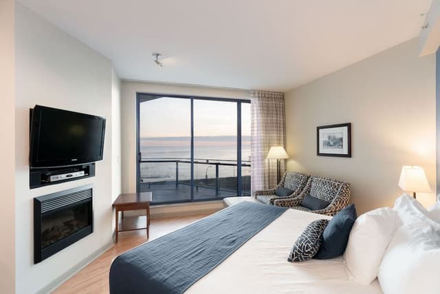 Studio, 1 King Bed