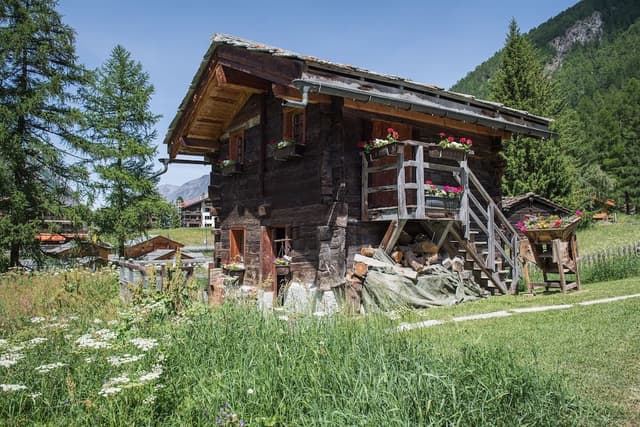 Apartment, 1 Bedroom, Kitchen, Mountain View