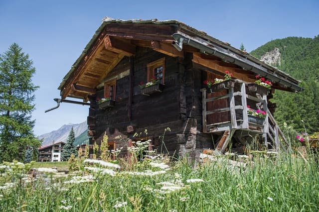 Apartment, 1 Bedroom, Kitchen, Mountain View