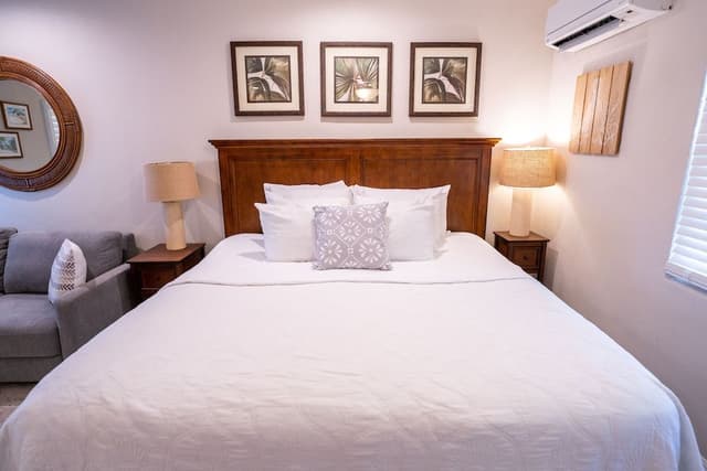 Premium Studio Suite, 1 King Bed with Sofa bed (Unit 105)
