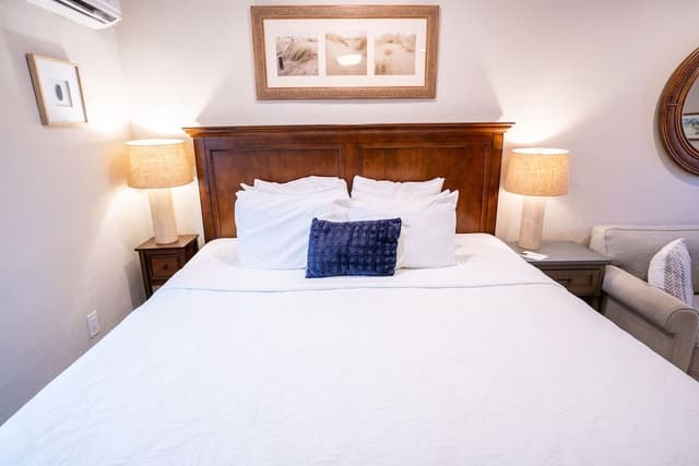 Premium Studio Suite, 1 King Bed with Sofa bed (Unit 104)