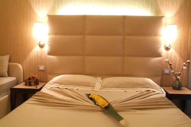 Deluxe Double Room Single Use