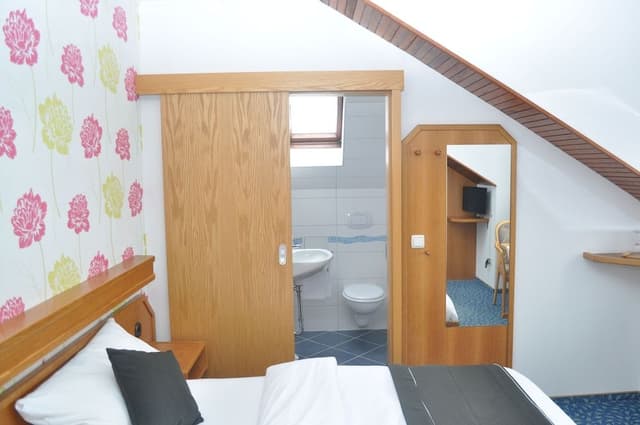 Basic Double Room