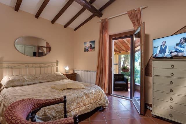 Superior double room with terrace/patio