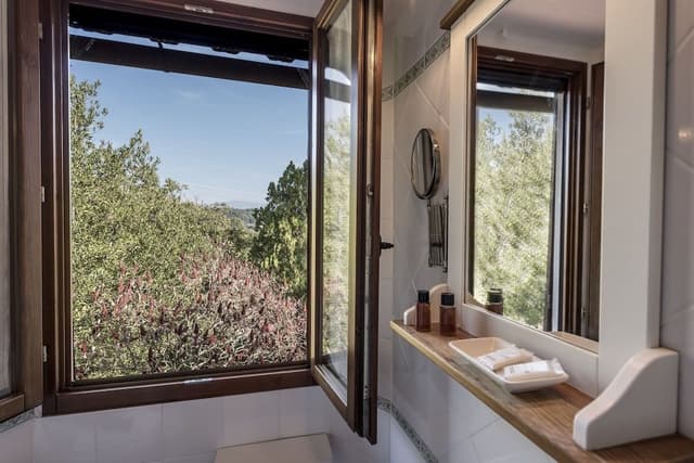Classic Suite, 1 King Bed, Park View