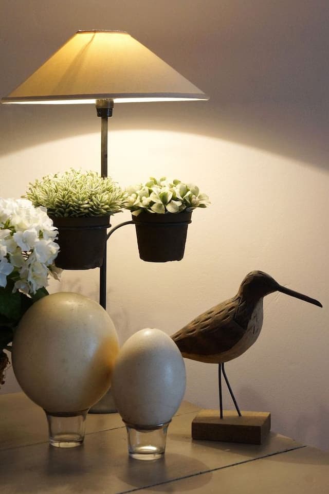 Junior Suite, Terrace, Garden Area