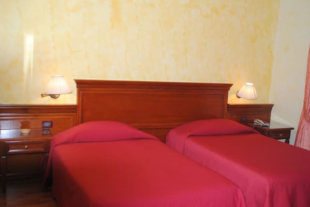 Basic Double or Twin Room