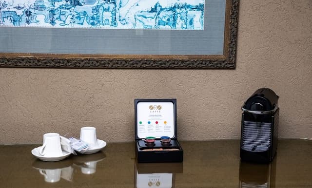 Premium Suite, 1 King Bed with Sofa bed