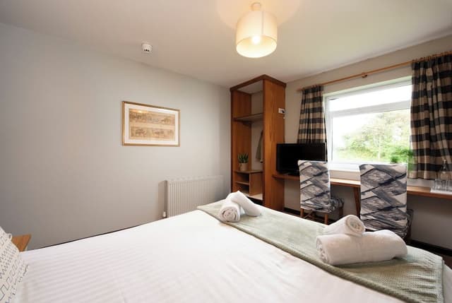 Double Room, 1 King Bed, Pets Allowed