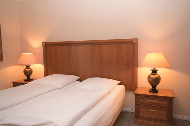 Basic Double Room