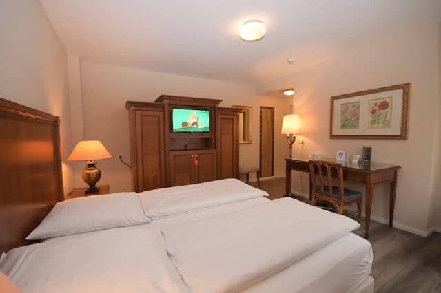 Basic Double Room
