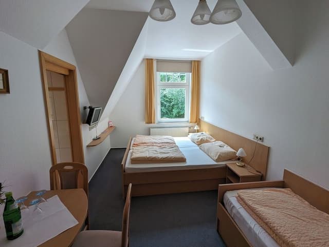 Basic Triple Room