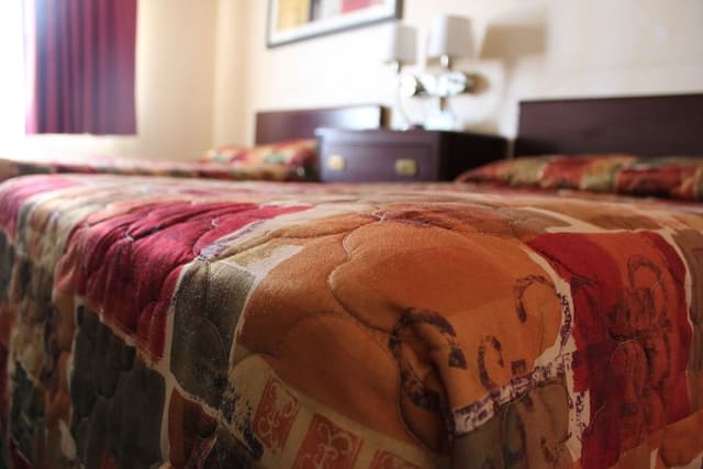 Standard Room, 2 Double Beds