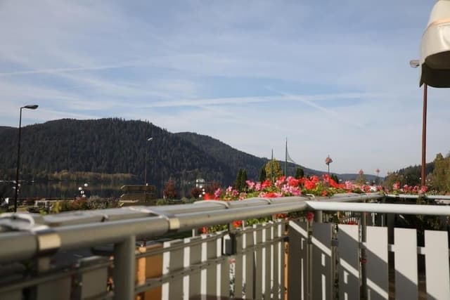 Double Room, Lake View
