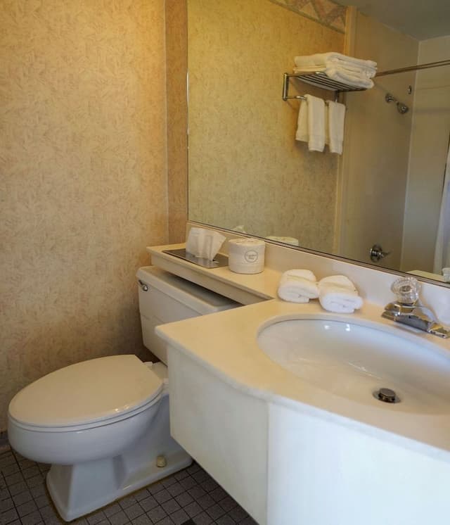 Comfort Room, 1 King Bed, Non Smoking