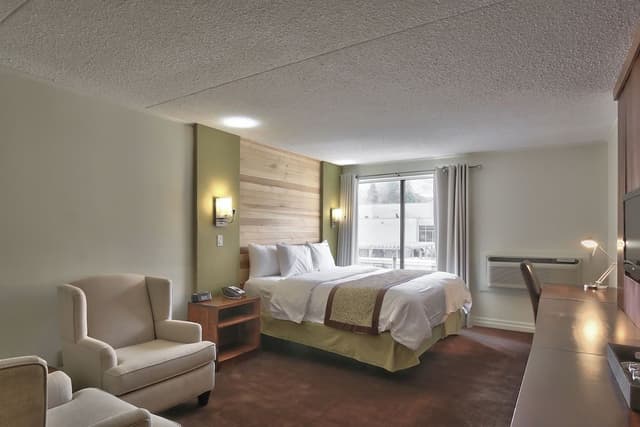 Room, 1 King Bed