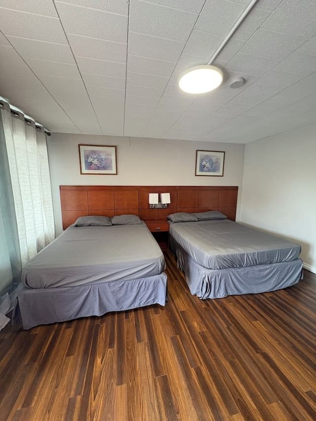 Standard Room, 2 Queen Beds