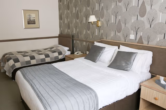 Superior Double or Twin Room