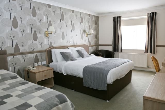 Superior Double or Twin Room