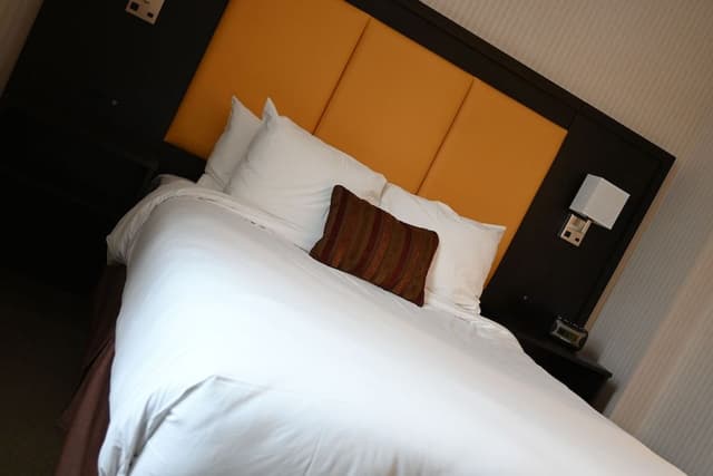 Room, 1 Queen Bed