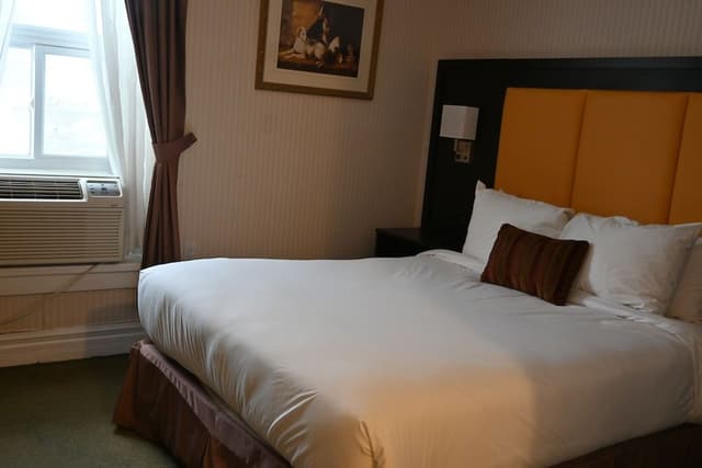 Room, 1 Queen Bed