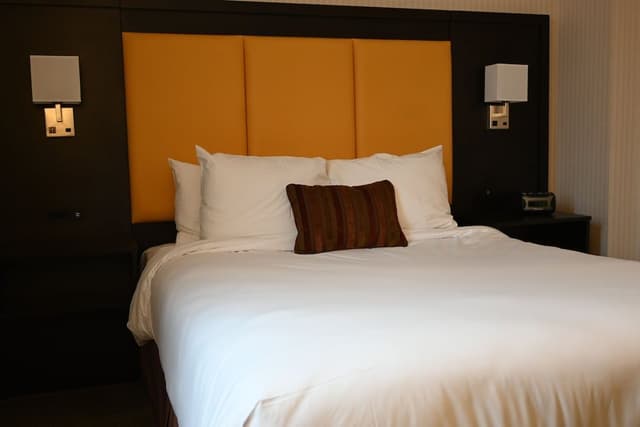 Room, 1 Queen Bed