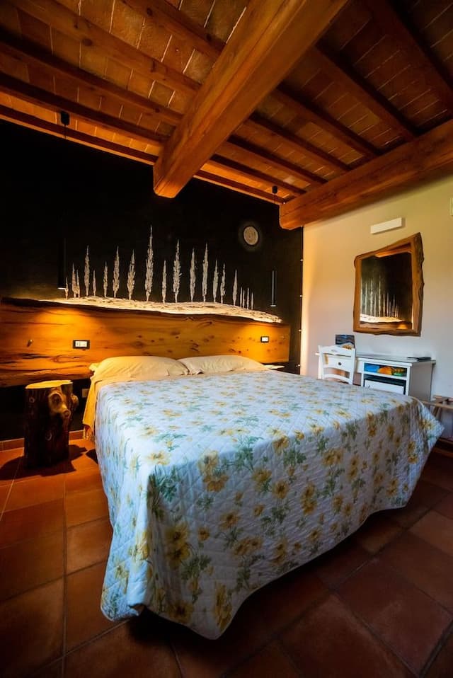 Classic Double or Twin Room