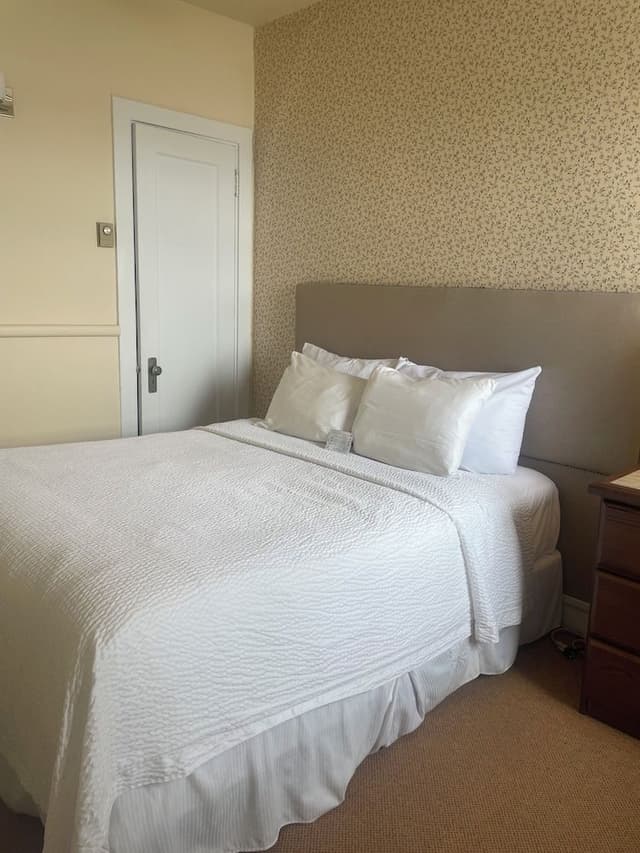 Comfort Suite, River View