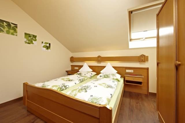 Apartment, 1 Bedroom, Balcony, Mountain View