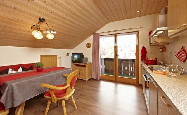 Apartment, 1 Bedroom, Balcony, Mountain View