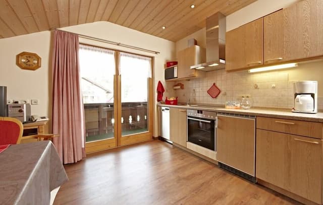 Apartment, 1 Bedroom, Balcony, Mountain View