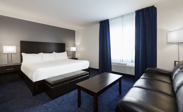 Standard Room, 1 King Bed with Sofa bed