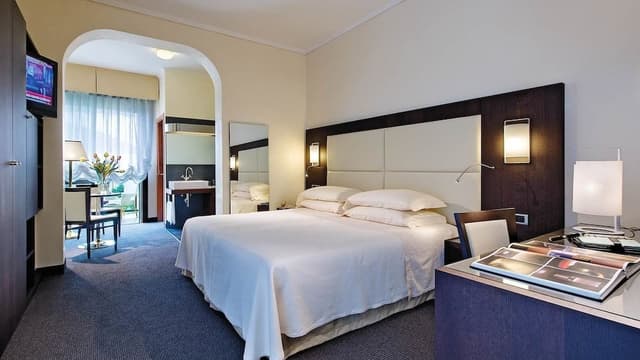 Superior Double or Twin Room