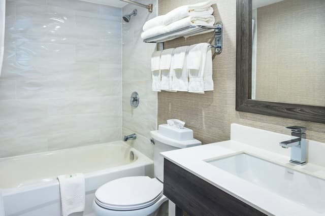 Standard Room, 1 King Bed with Sofa bed, Non Smoking (Dog Friendly)