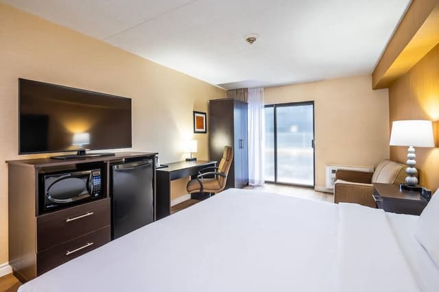 Standard Room, 1 King Bed with Sofa bed, Non Smoking (Dog Friendly)
