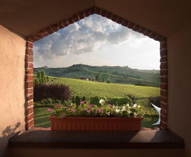 Junior Suite, Vineyard View