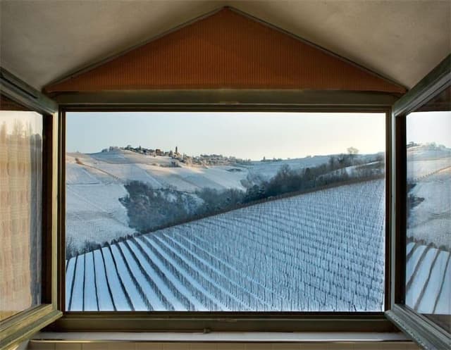 Deluxe Suite, 1 Bedroom, Kitchenette, Vineyard View