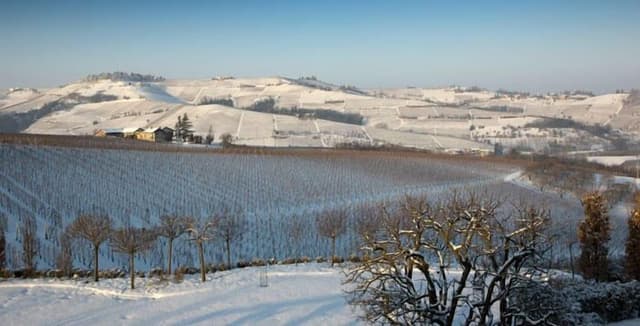 Deluxe Suite, 1 Bedroom, Kitchenette, Vineyard View