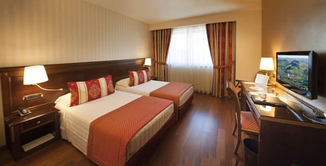 Classic Double Room Single Use