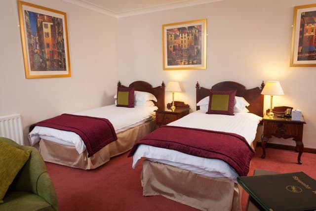 Superior Room, 2 Twin Beds, Non Smoking