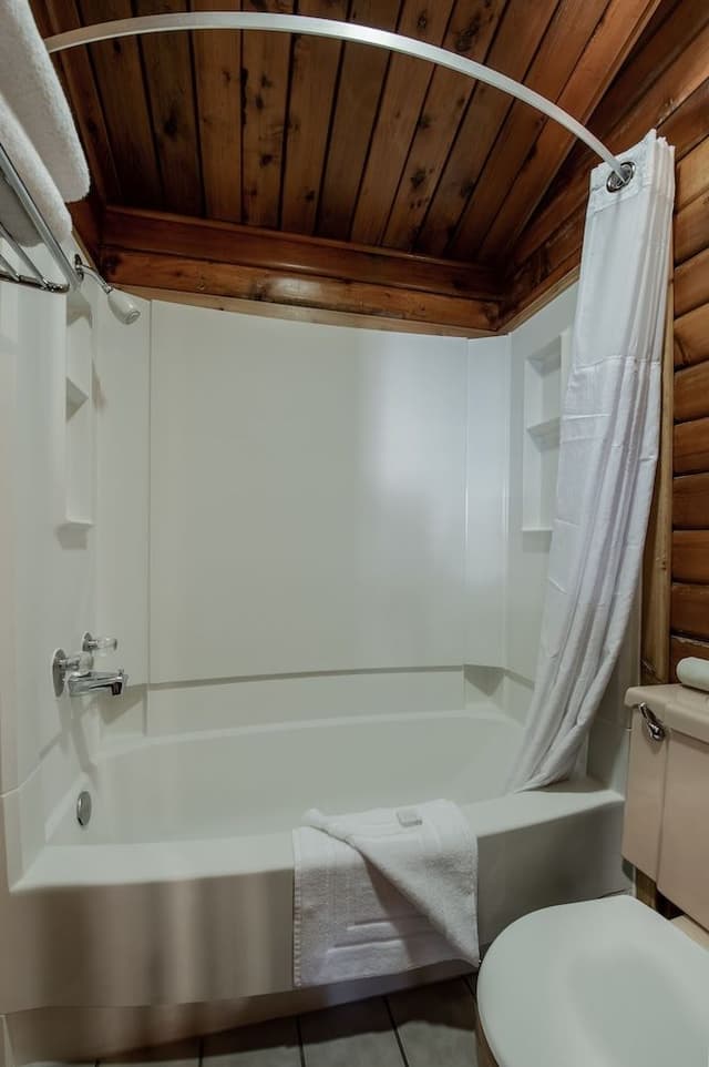 Traditional Single Room, 1 King Bed