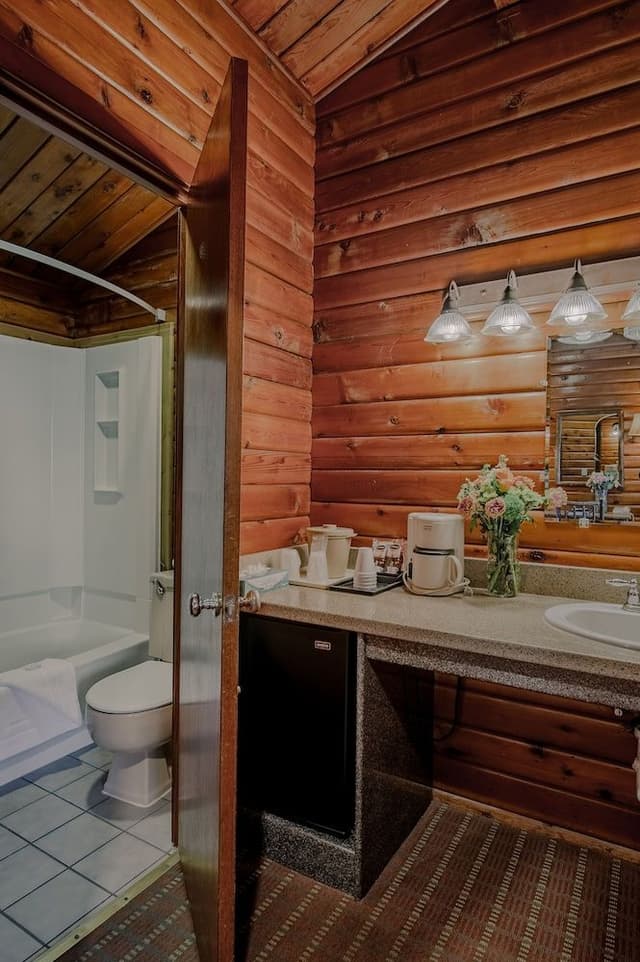 Traditional Single Room, 1 King Bed