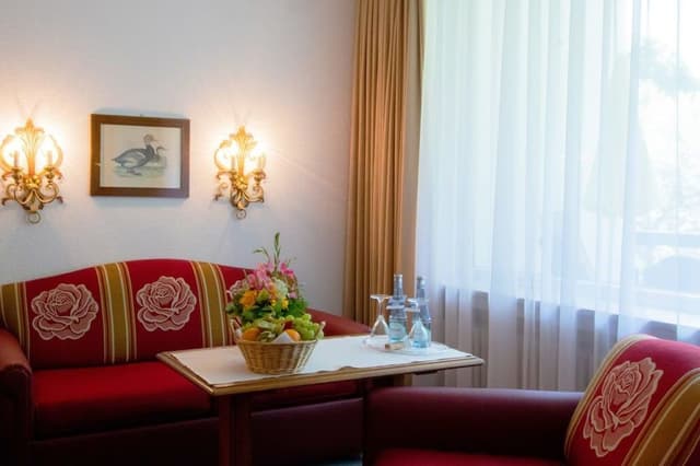Comfort Double Room, Non Smoking, Mountain View