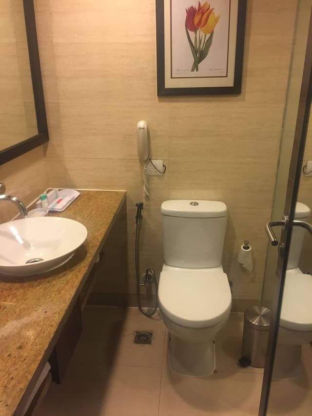 Premier Room, 1 King Bed
