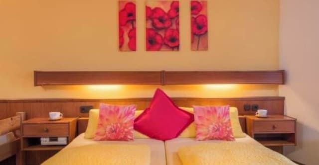 Basic Double Room, Mountain View