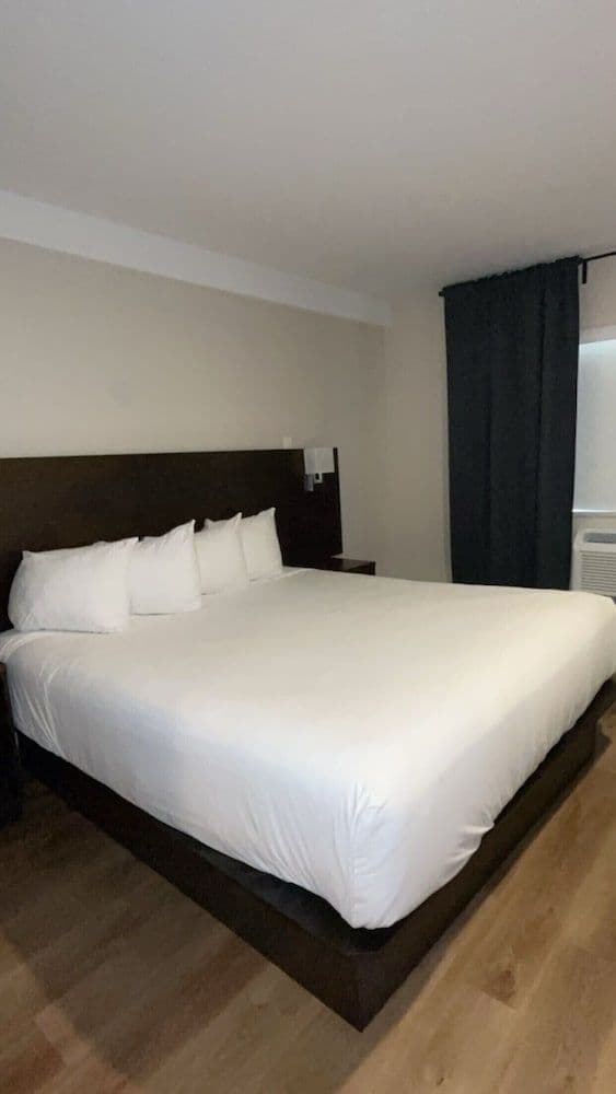Room, 1 King Bed, Kitchenette